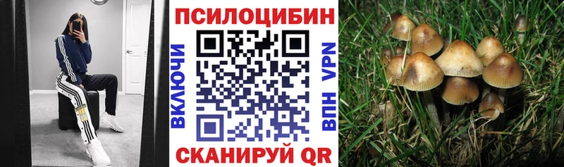 Псилоцибиновые грибы MAGIC MUSHROOMS Димитровград